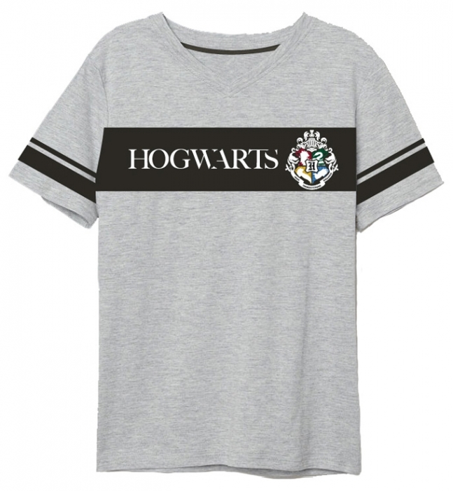 PÁNSKÉ TRIČKO HARRY POTTER šedé S