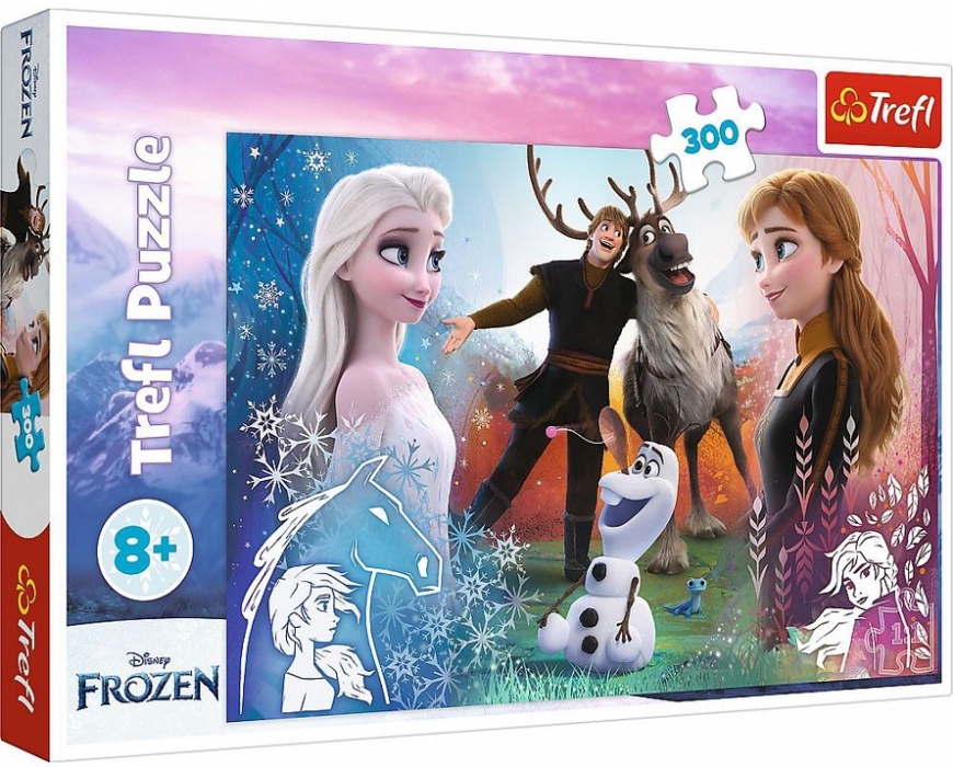 PUZZLE DISNEY FROZEN 2 KOUZELNÝ ČAS 300 dílků