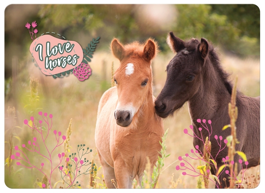 JÍDELNÍ PODLOŽKA - PROSTÍRÁNÍ KONĚ I LOVE HORSES
