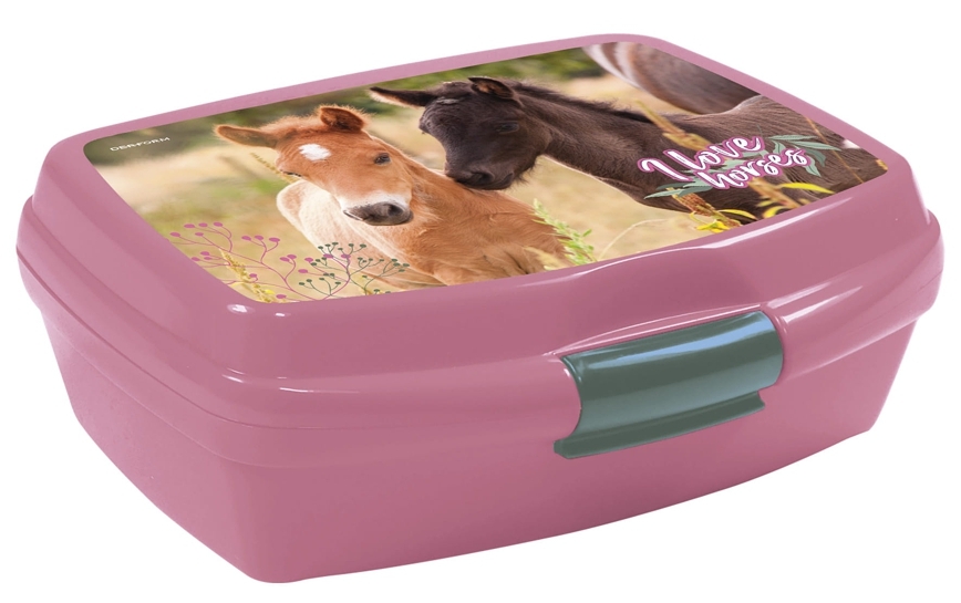 SVAČINOVÝ BOX KONĚ I LOVE HORSES