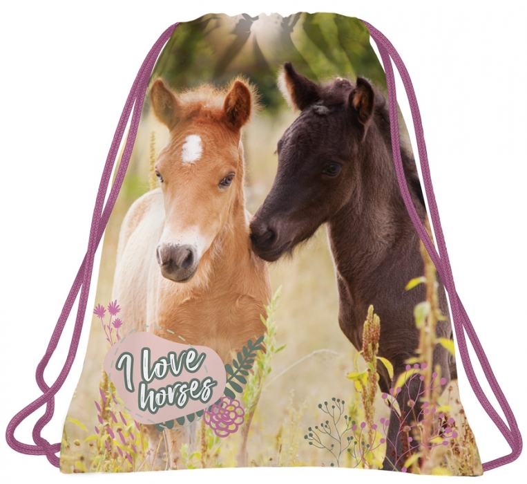 SÁČEK NA PŘEZŮVKY, TĚLOCVIK KONĚ I LOVE HORSES