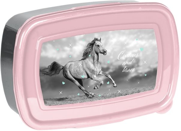 PASO SVAČINOVÝ BOX KONĚ