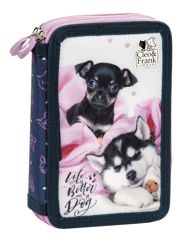 ŠKOLNÍ DVOUPATROVÝ PLNĚ VYBAVENÝ PENÁL CLEO A FRANK PEJSCI