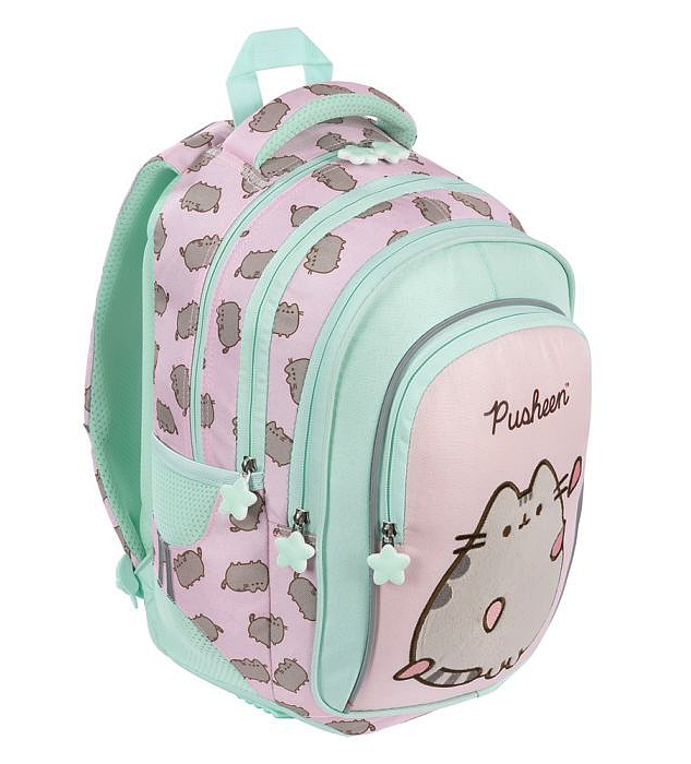 Školní ergonomický čtyřkomorový batoh Pusheen Pink