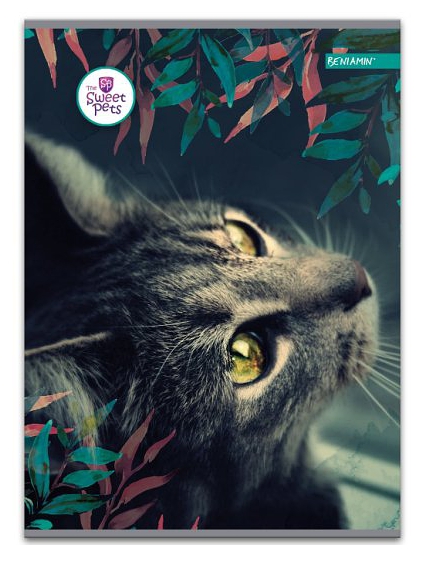 Sešit A5 Sweet Pets kočka 80 listů, čtverečkovaný