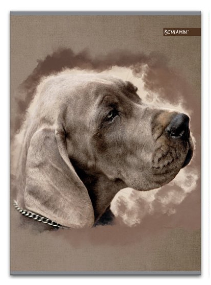 Sešit A5 Sweet Pets pejsek 80 listů, čtverečkovaný