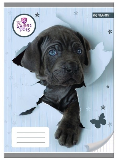 Sešit A5 Sweet Pets pejsek 32 listů, čtverečkovaný