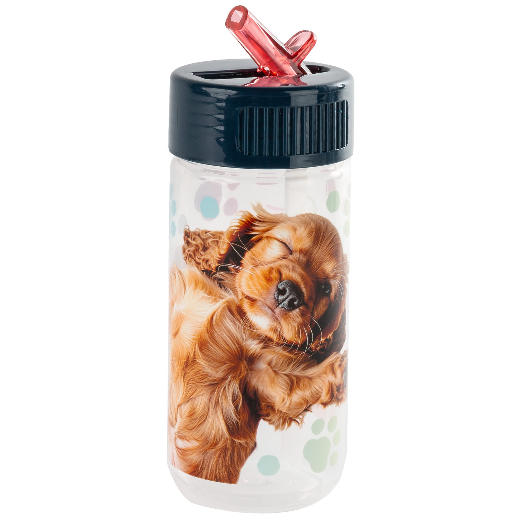 Láhev na pití Cleo a Frank pejsek 330ml