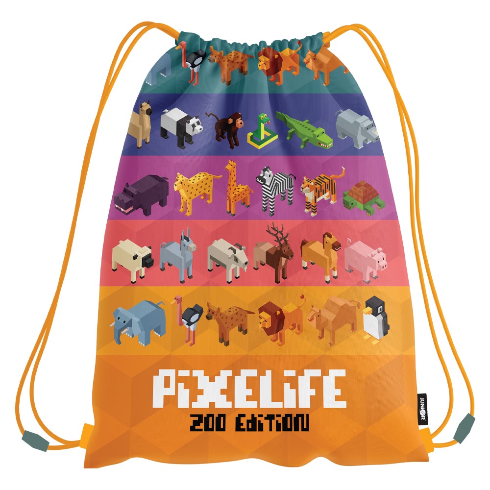 Sáček na přezůvky Pixelife