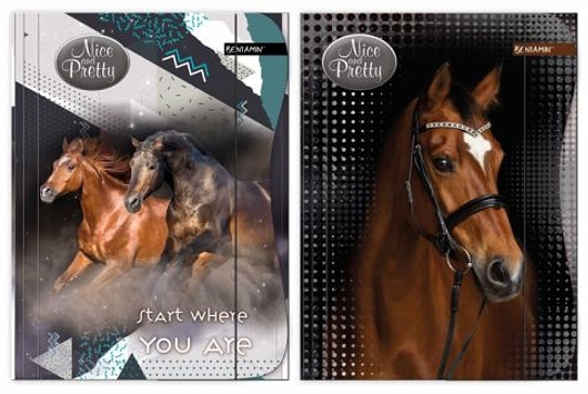 SPISOVÁ SLOŽKA - DESKY NA SEŠITY A4 KONĚ NICE AND PRETTY šedá