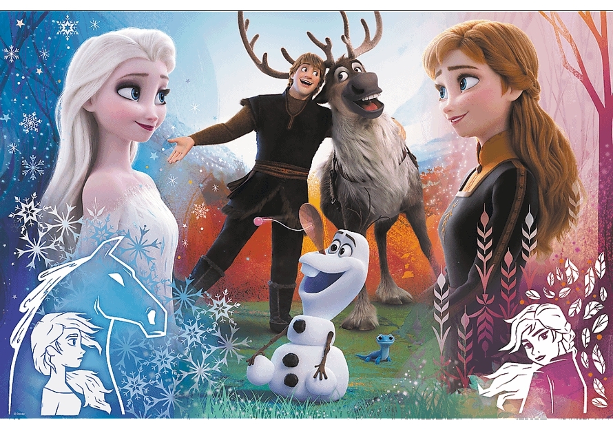 PUZZLE DISNEY FROZEN 2 KOUZELNÝ ČAS 300 dílků