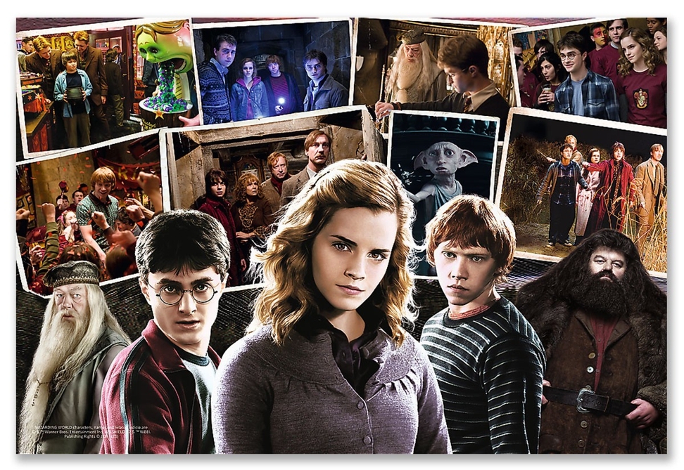 PUZZLE HARRY POTTER A PŘÁTELÉ 160 dílků