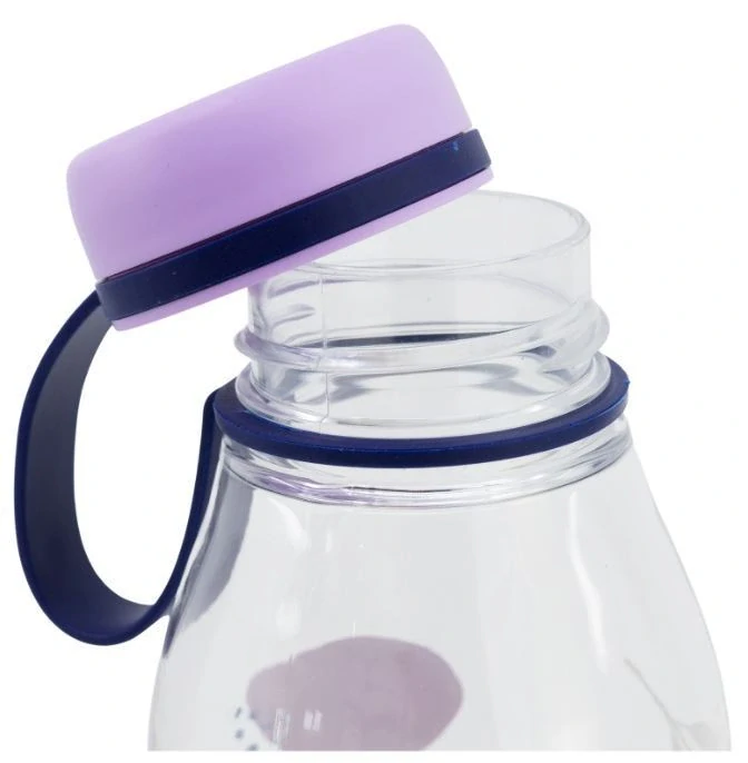 Tritanová láhev Ecozen Disney Frozen 650ml
