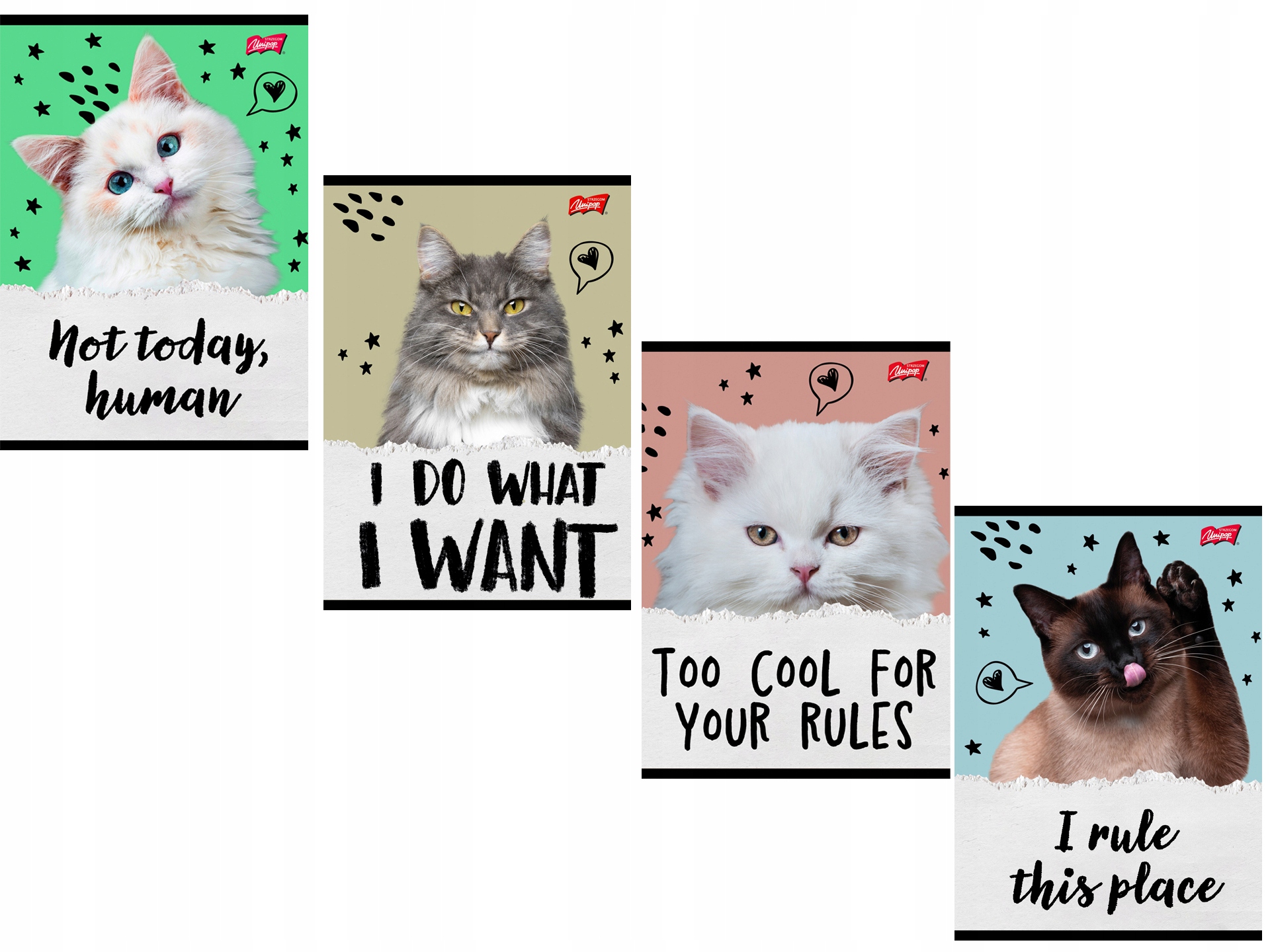 Školní sešit A5 kočka Caturday linkovaný 4 druhy