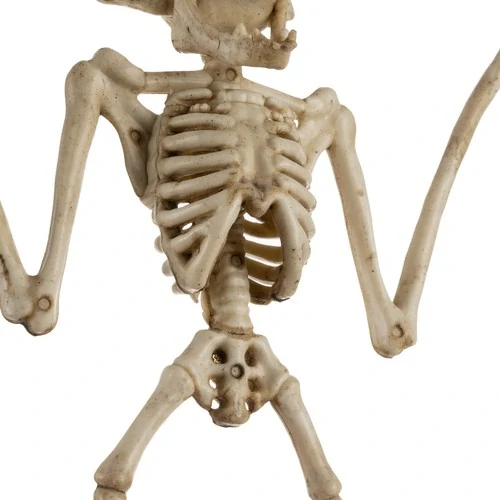 Halloweenská dekorace kostra netopýra 28cm
