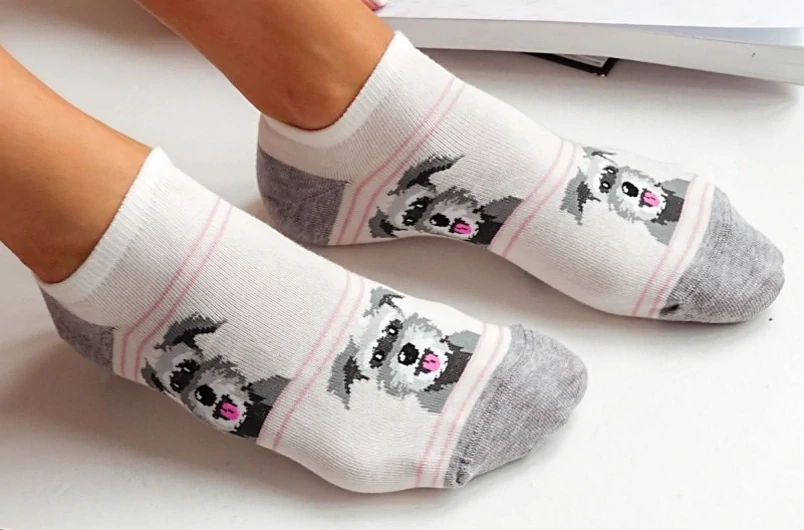 Dámské kotníčkové ponožky pes knírač šedé