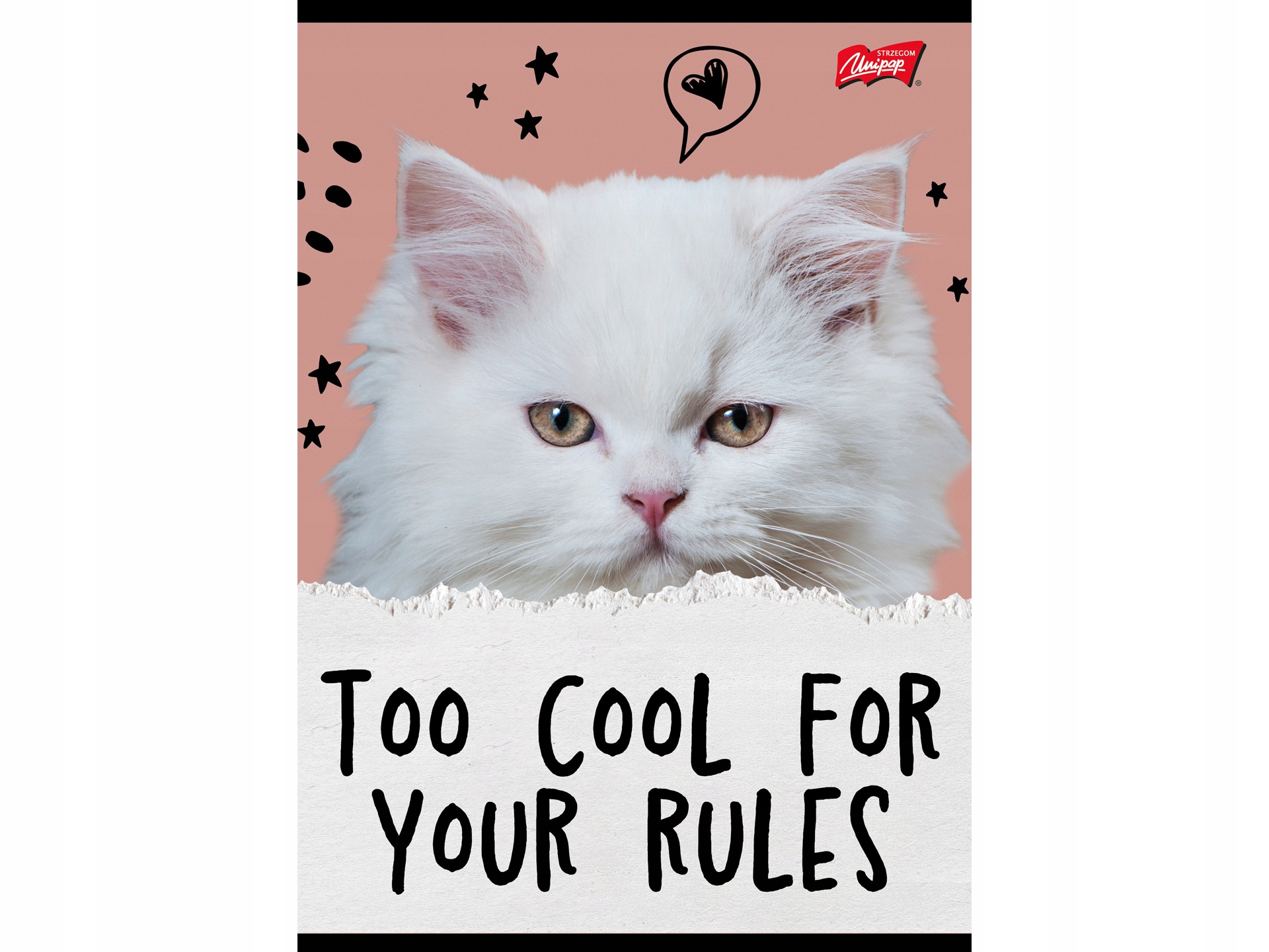 Školní sešit A5 kočka Caturday linkovaný 4 druhy