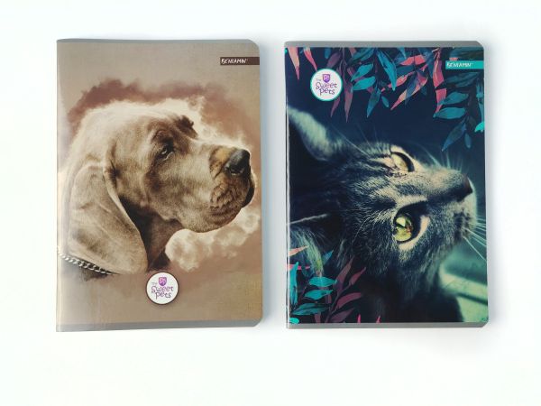 Sešit A5 Sweet Pets kočka 80 listů, čtverečkovaný