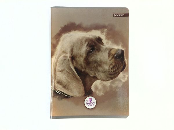 Sešit A5 Sweet Pets pejsek 80 listů, čtverečkovaný