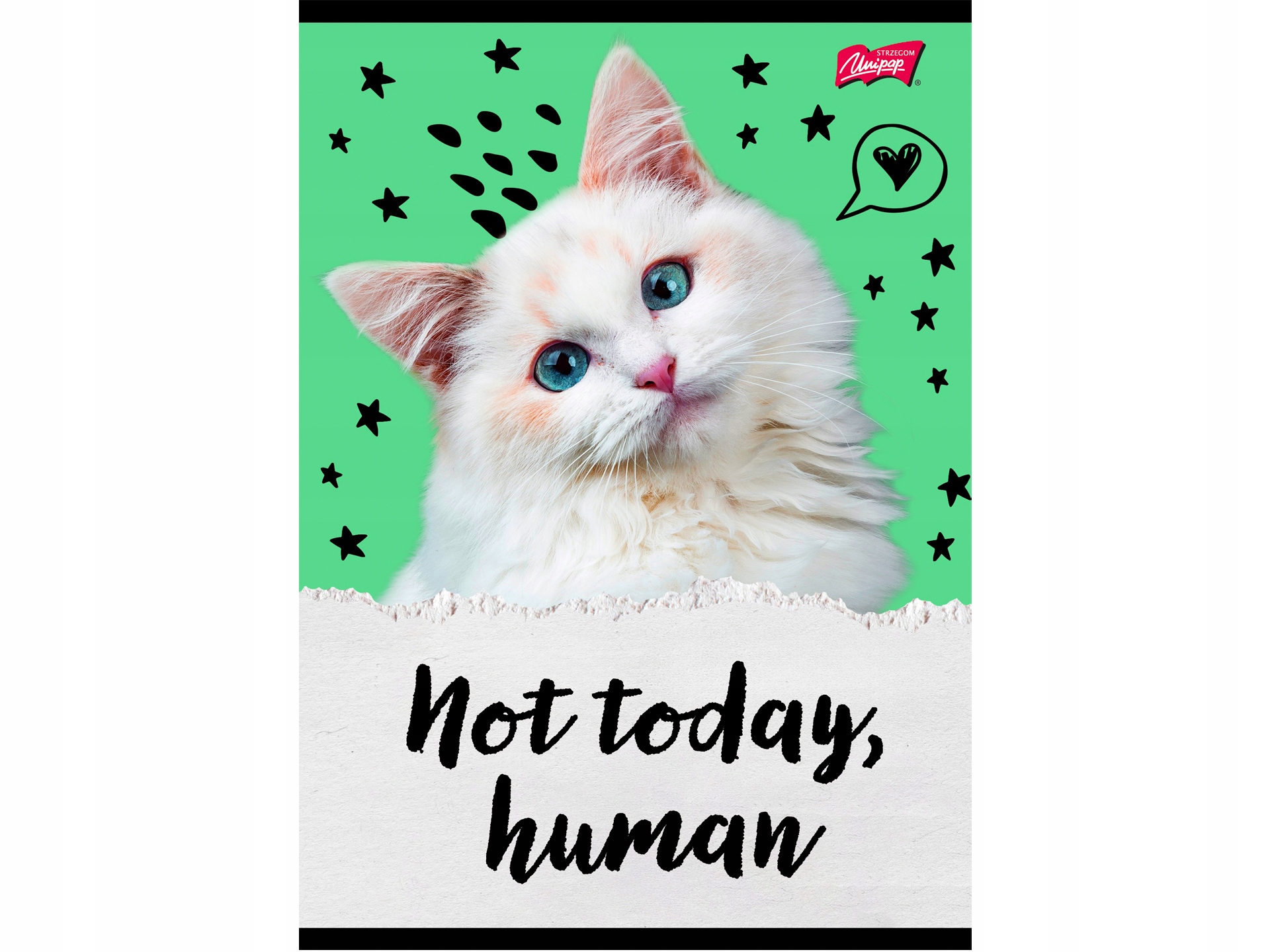 Školní sešit A5 kočka Caturday linkovaný 4 druhy