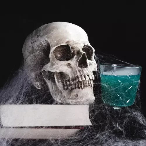 Malatec dekorace Halloween umělá pavučina a 2 pavouci