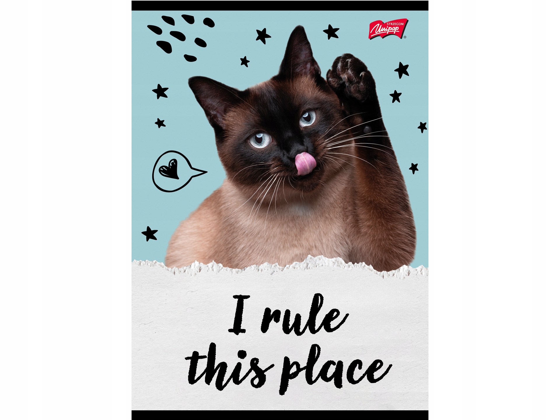 Školní sešit A5 kočka Caturday linkovaný 4 druhy