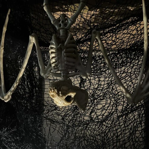 Halloweenská dekorace kostra netopýra 28cm