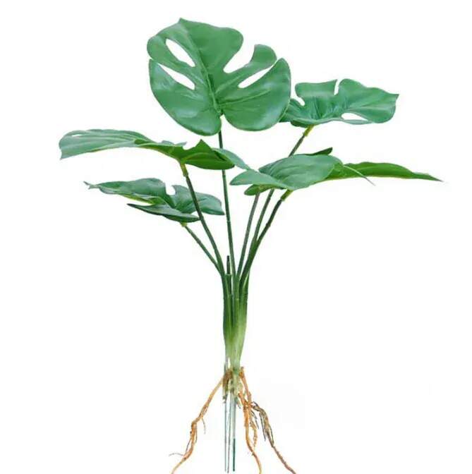 UMĚLÁ ROSTLINA MONSTERA S KOŘENY 35 CM