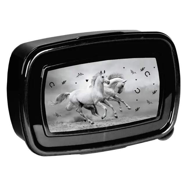 PASO SVAČINOVÝ BOX KONĚ