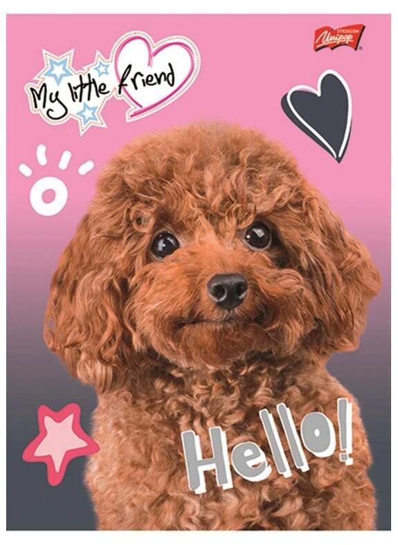 Sešit A5 My Little Friend pejsek linkovaný