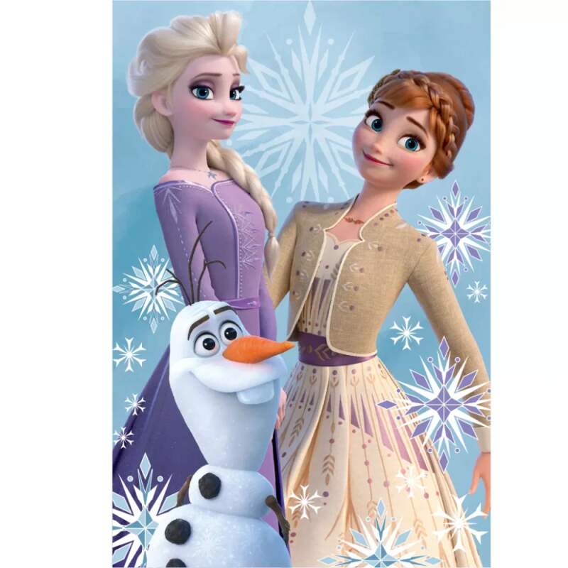 Fleecová deka Disney Frozen