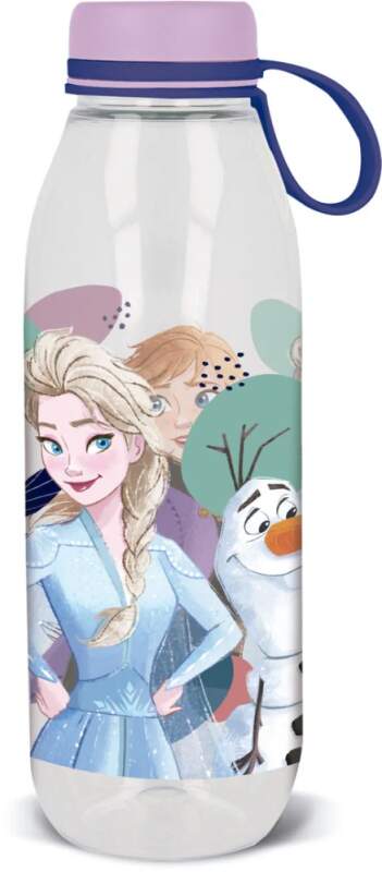 Tritanová láhev Ecozen Disney Frozen 650ml
