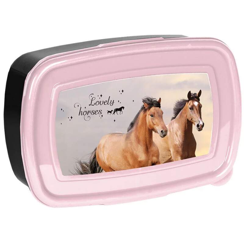 Paso svačinový box koně Lovely Horses