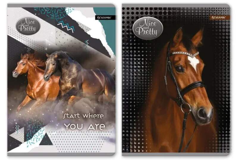 ŠKOLNÍ SEŠIT A5 KONĚ NICE AND PRETTY čtverečkovaný