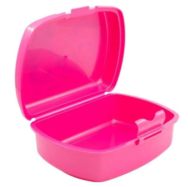 Svačinový box Paw Patrol Skye a Everest