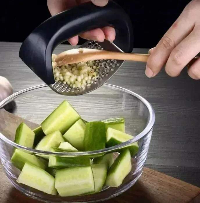 RUČNÍ LIS NA ČESNEK Z NEREZOVÉ OCELI