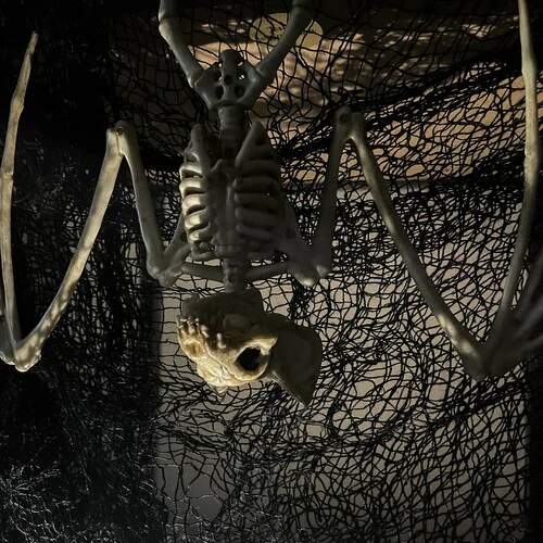 Halloweenská dekorace kostra netopýra 28cm