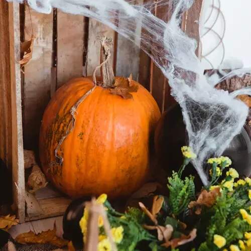 Malatec dekorace Halloween umělá pavučina a 2 pavouci