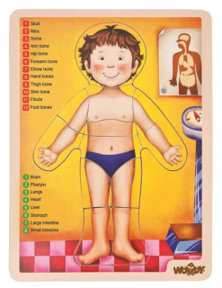 WOODY DŘEVĚNÉ PUZZLE LIDSKÉ TĚLO V ANGLIČTINĚ