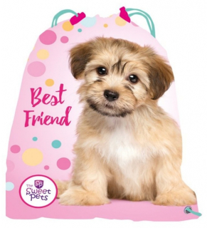 SÁČEK NA PŘEZŮVKY, TĚLOCVIK SWEET PETS PEJSEK