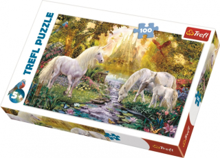 PUZZLE TAJNÁ ZAHRADA S JEDNOROŽCI 100 dílků