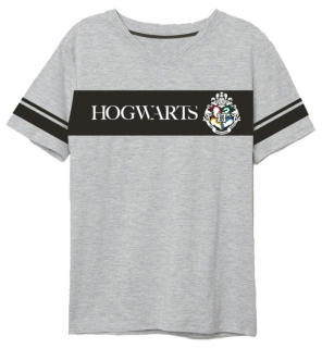 PÁNSKÉ TRIČKO HARRY POTTER šedé