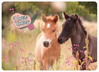 JÍDELNÍ PODLOŽKA - PROSTÍRÁNÍ KONĚ I LOVE HORSES