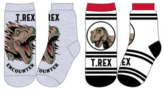 CHLAPECKÉ PONOŽKY DINOSAURUS JURSKÝ SVĚT SADA 2 KS