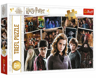 PUZZLE HARRY POTTER A PŘÁTELÉ 160 dílků