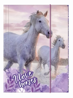 SPISOVÁ SLOŽKA - DESKY NA SEŠITY A4 KONĚ I LOVE HORSES