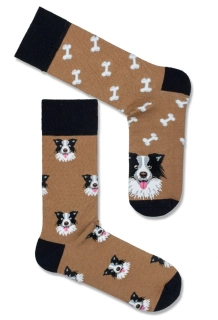 Pánské ponožky pes Border kolie hnědé